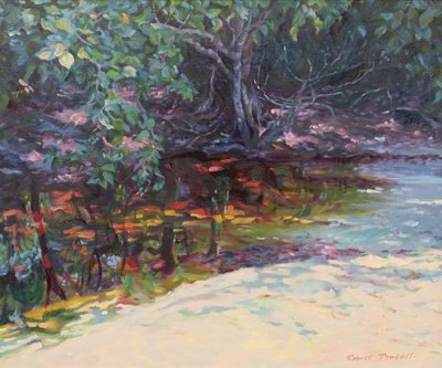 Beach and Rain Forest, Cape Tribulation, Northern Queensland, Australia by Robert Tyndall